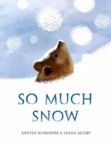 Image of So Much Snow