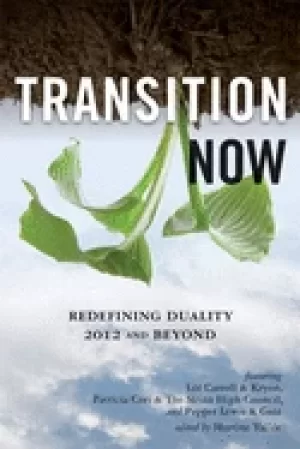 Image of transition now redefining duality 2012 and beyond