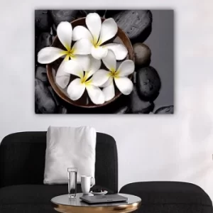 Image of 604774196_70100 Multicolor Decorative Canvas Painting