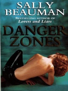Image of Danger Zones by Sally Beauman Paperback