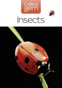Image of Insects by Michael Chinery Paperback