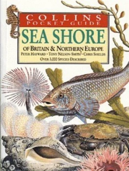 Image of Sea Shore of Britain and Europe by Peter Hayward and Tony Nelson-Smith and Chris Shields Paperback
