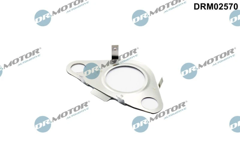 Image of DR.MOTOR AUTOMOTIVE Gasket, EGR valve pipe DR.MOTOR AUTOMOTIVE DRM02570