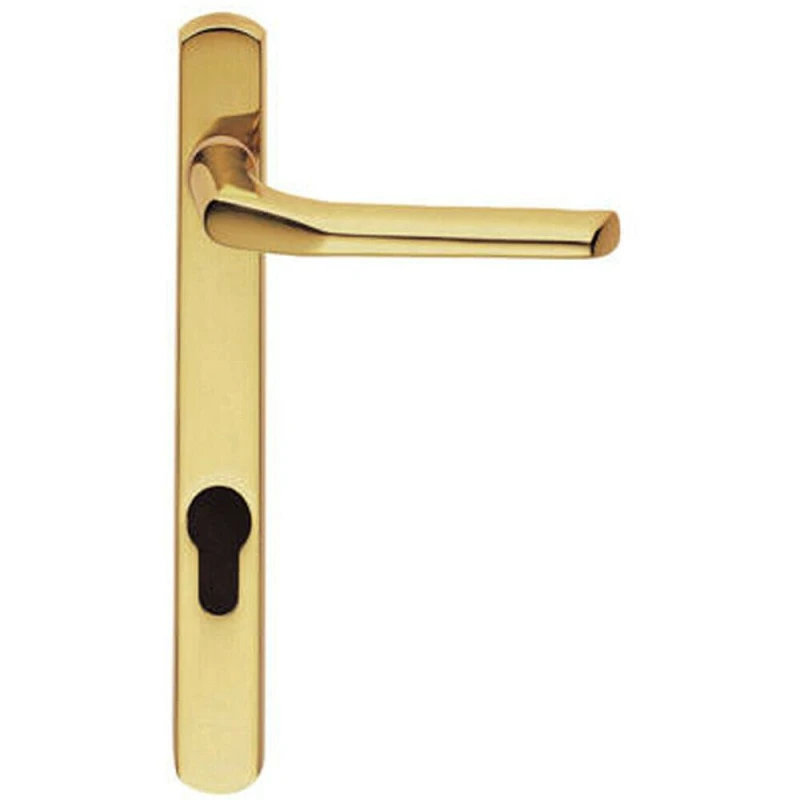 Image of Loops Straight Lever Door Handle on Lock Backplate Polished Brass 208mm X 25mm Metallics