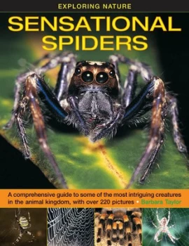 Image of Sensational Spiders by Barbara Taylor Hardback