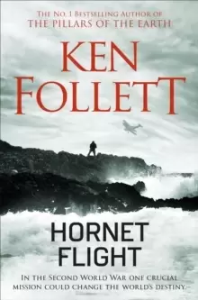 Image of Hornet Flight