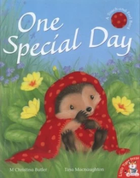 Image of One Special Day by M. Christina Butler and Tina Macnaughton Paperback