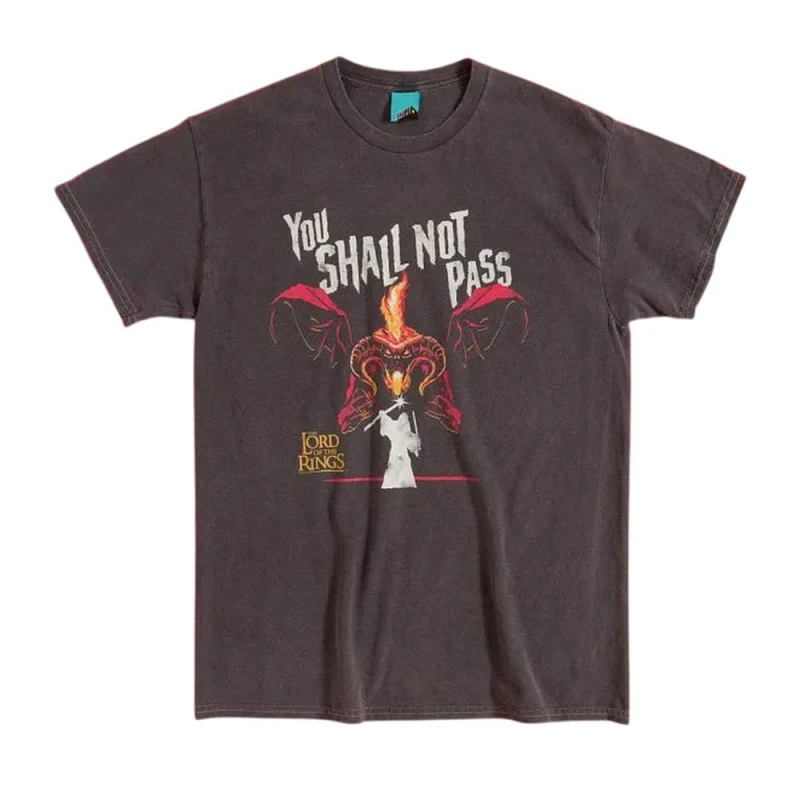 Image of The Lord of the Rings Mens You Shall Not Pass Balrog Vintage Wash T-Shirt in Charcoal Size: Small Charcoal Male S