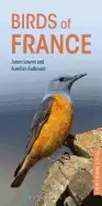 Image of birds of france