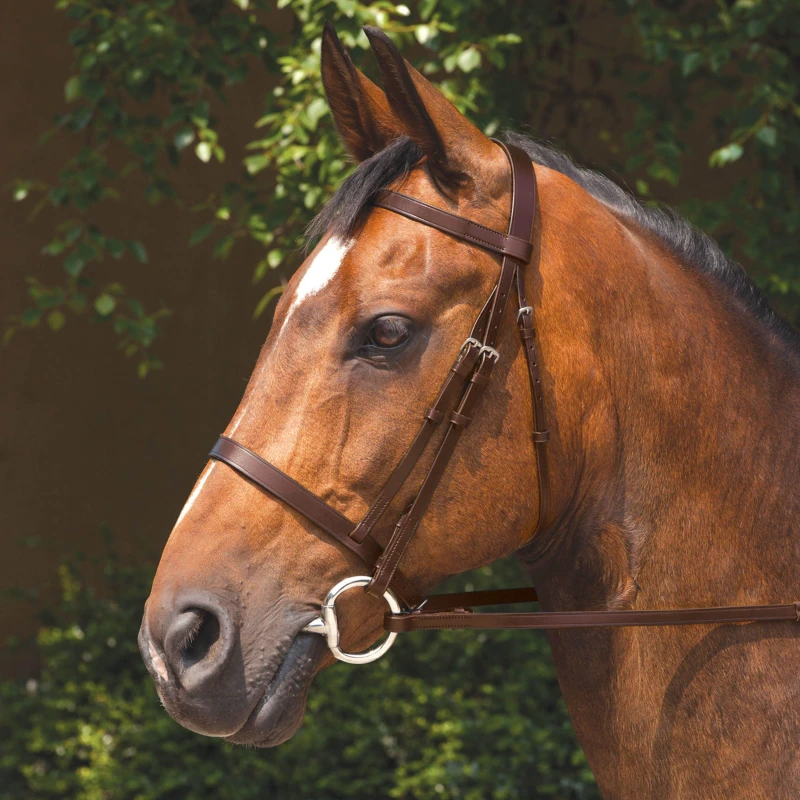 Image of Requisite Snaffle Bridle with Reins Havana unisex Cob