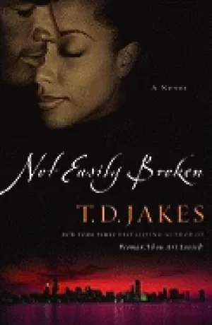 Image of not easily broken a novel