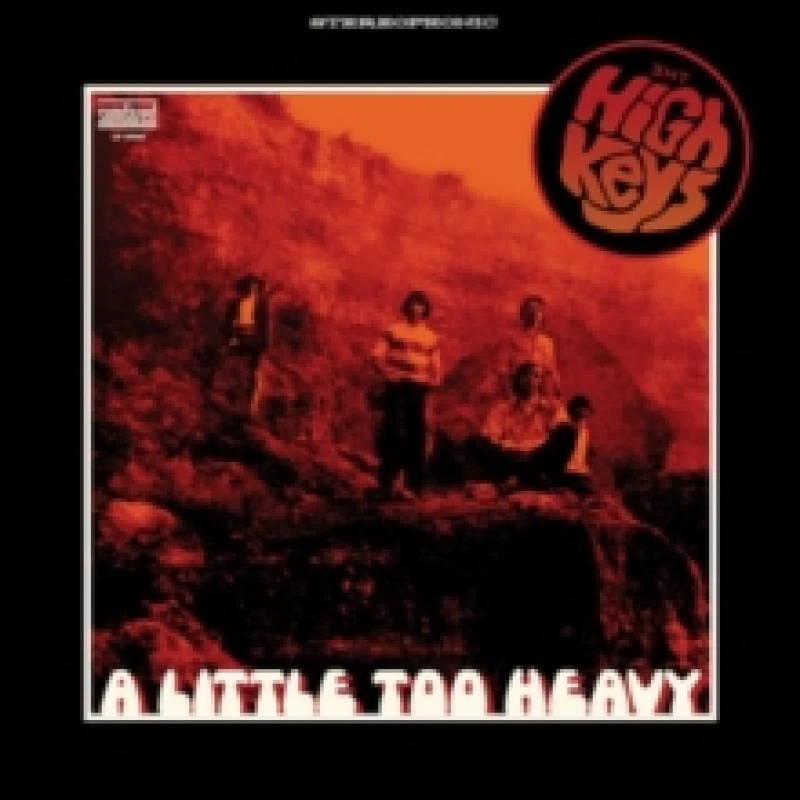 Image of A Little Too Heavy Vinyl