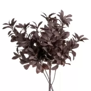 Image of Jewel Toned Burgundy Eucalyptus Foliage