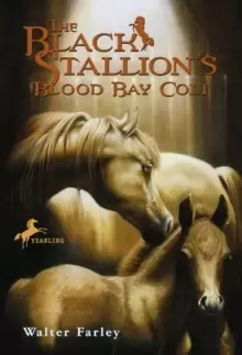 Image of The Black stallions blood bay colt by Walter Farley