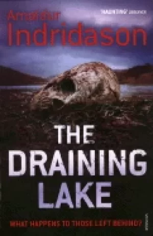 Image of draining lake