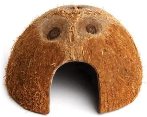 Image of Komodo Habitat Coconut Den