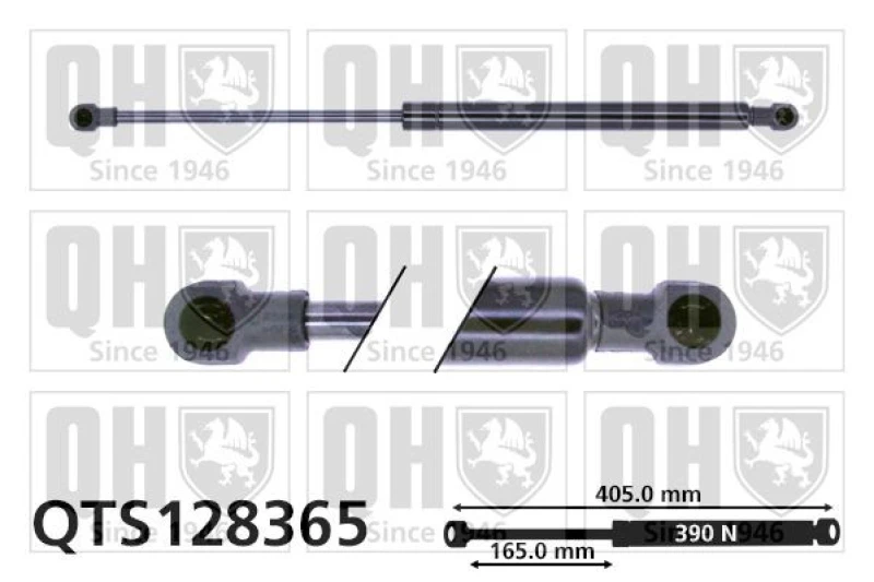 Image of QUINTON HAZELL Tailgate strut QUINTON HAZELL QTS128365