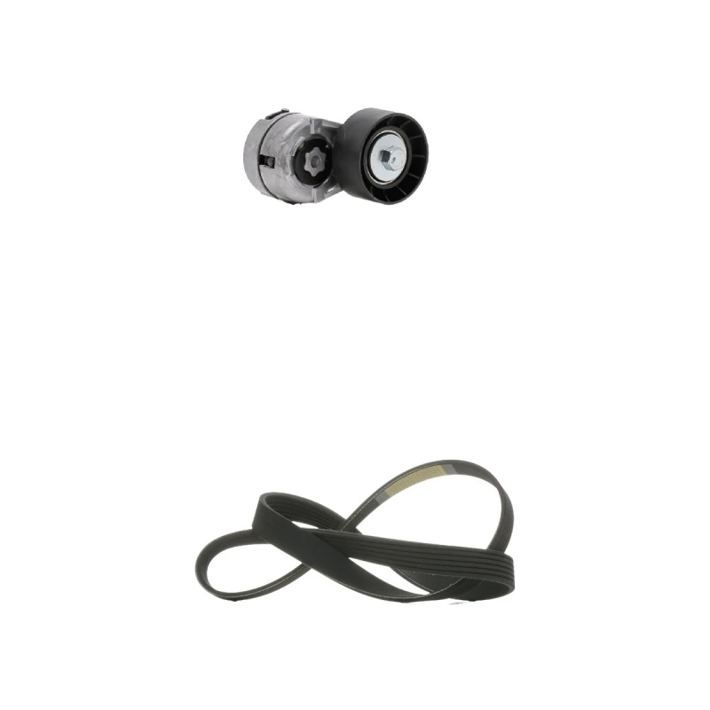 Image of RIDEX 542R1008 V-ribbed belt set V-Ribbed Belt Set (542)