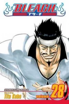 Image of Bleach. Vol. 28 by Tite Kubo Book