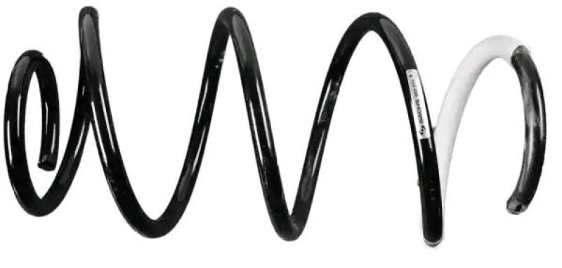 Image of Coil spring SACHS 993 575