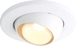 image of KnightsBridge R80 80W Eyeball Downlight - White