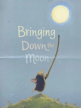 Image of Bringing down the Moon by Jonathan Emmett and Vanessa Cabban Hardback