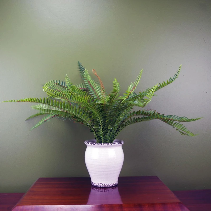 Image of Leaf Artificial Fern Bush in Decorative Planter Botanik Green