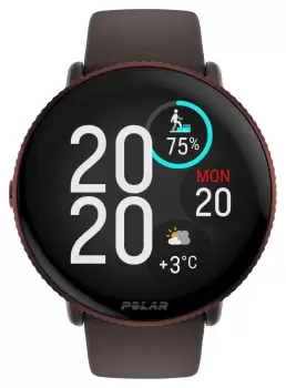 Image of Polar 900106239 Ignite 3 Fitness & Wellness Brown Watch
