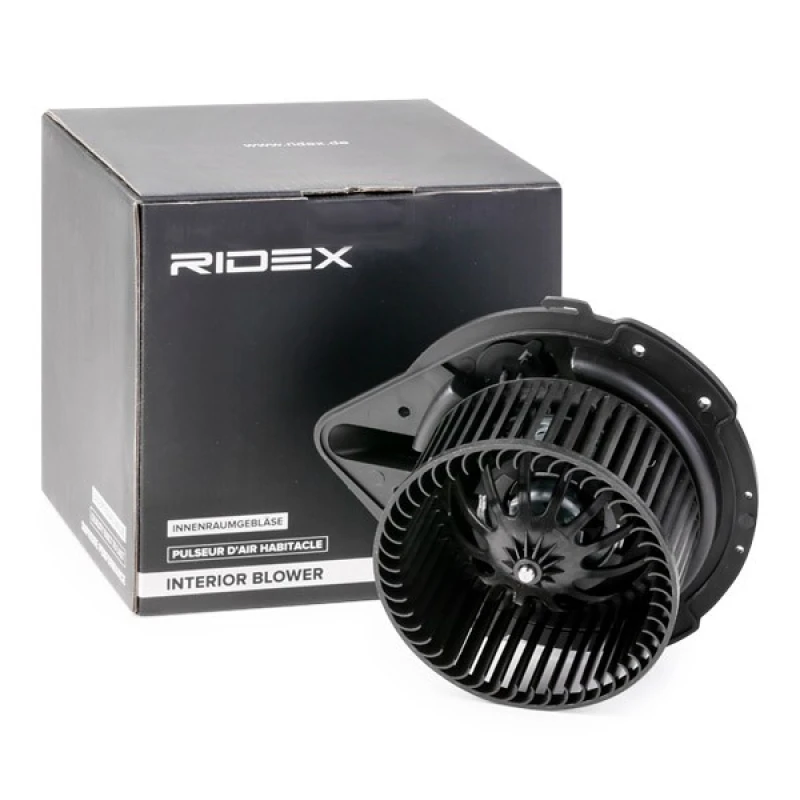Image of Blower motor RIDEX 2669I0103