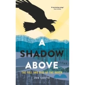 Image of A Shadow Above : The Fall and Rise of the Raven