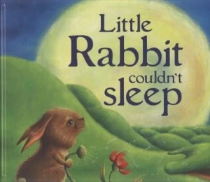 Image of Little Rabbit Couldnt Sleep by Beth Shoshan and Sarah Arnold Hardback