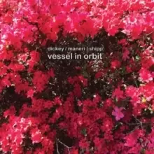Image of Vessel in Orbit
