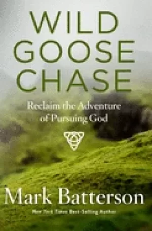 Image of wild goose chase reclaim the adventure of pursuing god