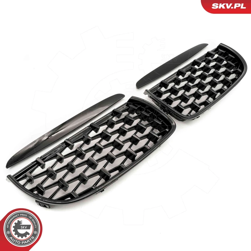 Image of ESEN SKV Radiator Grille ESEN SKV 66SKV093