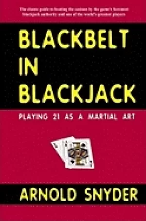 Image of blackbelt in blackjack playing 21 as a martial art