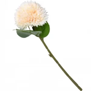 Image of Chrysanthemum Peach