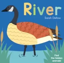 Image of Now you See It! River