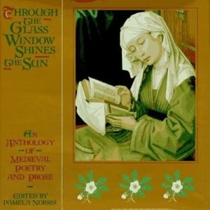 Image of Through the Glass Window Shines the Sun by Pamela Norris Book