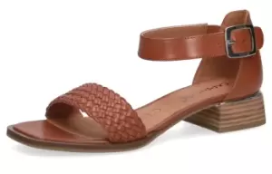 image of Caprice Comfort Sandals brown 6.5