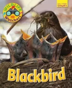 Image of Blackbird - Ruth Owen - Paperback - Used