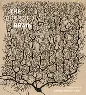 Image of beautiful brain the drawings of santiago ramon y cajal