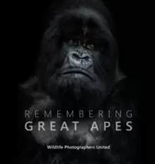 Image of Remembering Great Apes