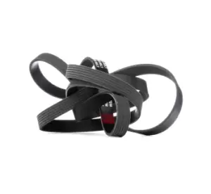 Image of RIDEX V-ribbed belt 305P0206 Serpentine belt,Auxiliary belt VW,AUDI,CHRYSLER,Touareg (7LA, 7L6, 7L7),A6 Avant (4F5, C6),A4 Avant (8ED, B7)