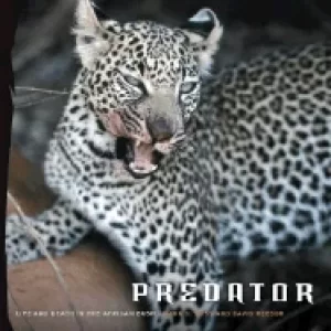 Image of predator life and death in the african bush