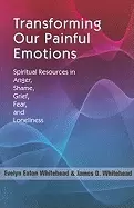 Image of transforming our painful emotions spiritual resources in anger shame grief