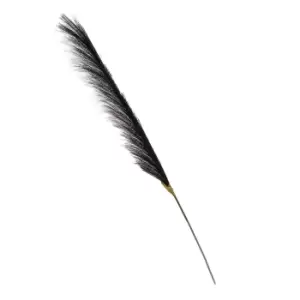 Image of Pampas - Black