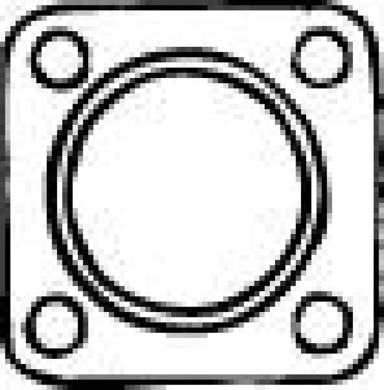 Image of Exhaust pipe gasket VEGAZ FTD-129