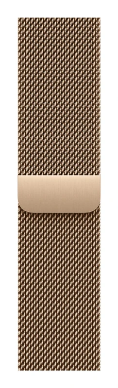 Image of Apple Apple MGJ04ZM/A Smart Wearable Accessories Band Gold Stainless steel MGJ04ZM/A