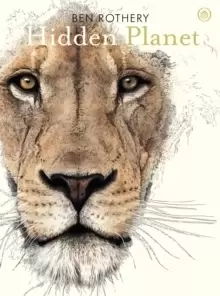 Image of Hidden Planet : An Illustrator's Love Letter to Planet Earth