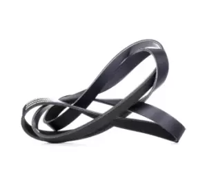 Image of RIDEX V-ribbed belt FORD,RENAULT,FIAT 305B0283 8200356268,8200821800,9004831065 46801957,46803271,55189680,60667257,71719645,71734717,1011688,1650770